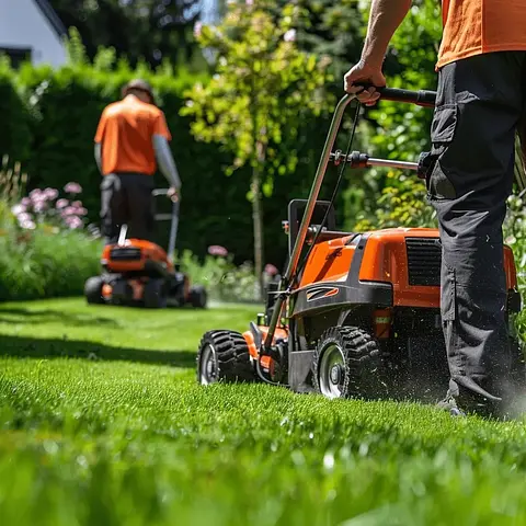 Professional lawn mowing service